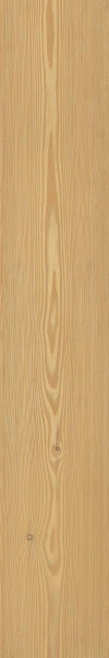 TAGINA Montalcino Larice Dorato 20x120