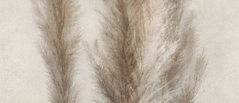 CAESAR Deco Solutio Pampa 120x278
