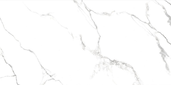 Керамогранит Absolut Gres (Абсолют Грес) Statuario Titan полированный 120x60 см, AB1124G