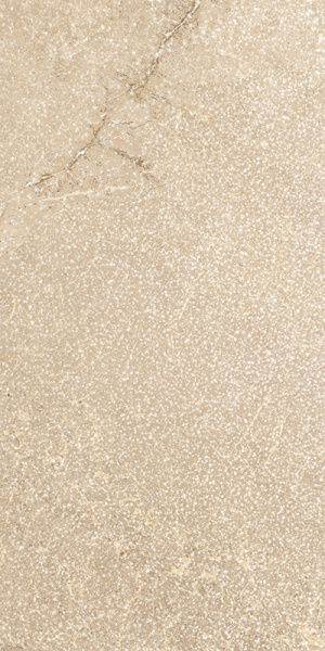 TAGINA Pierre D'avignon Beige 20x40