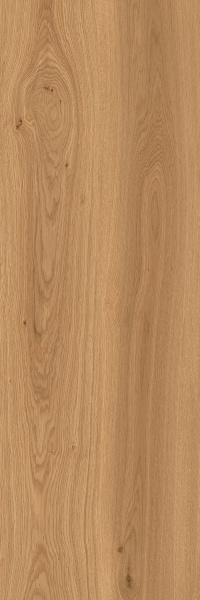 TAGINA Montalcino Rovere Miele 40x120