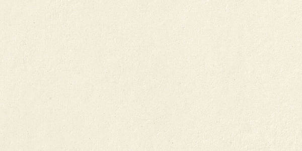 GIGACER Concrete Pure Concrete Ret. 30x60