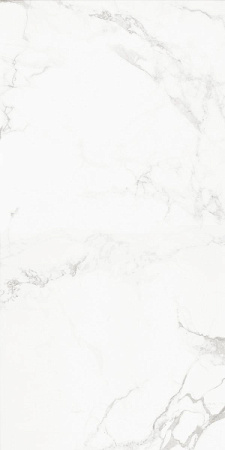 Progress CARRARA CLASSIC  керамогранит полированный 120x60 см  AB 1112G