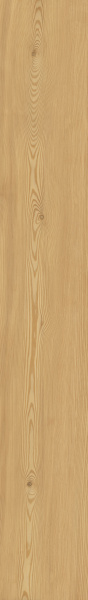 TAGINA Montalcino Larice Miele 26.5x180