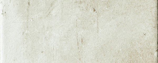 CIR Miami Elem White Rope X15 10x4