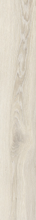 TAGINA Evoque Korina Naturale Ret. 20x120