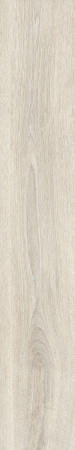 TAGINA Evoque Korina Naturale Ret. 20x120
