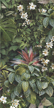 TAGINA Decors Forest Naturale Ret. 60x120