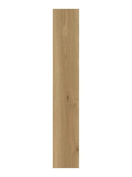 TAGINA Montalcino Rovere Miele 60x120