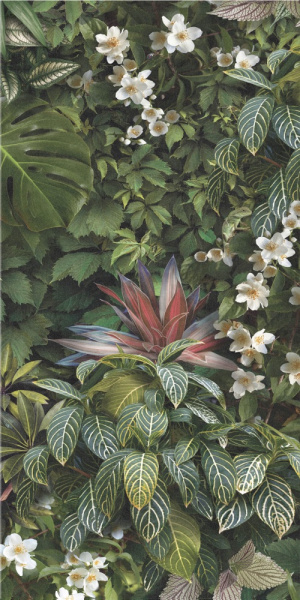TAGINA Decors Forest Naturale Ret. 60x120