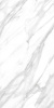 Progress CALACATTA GREY Glossy керамогранит полированный 120x60 см AB 1013G