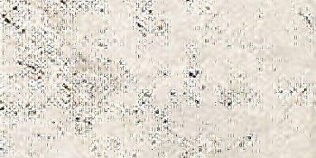 CIR Heritage Ivory 20x40