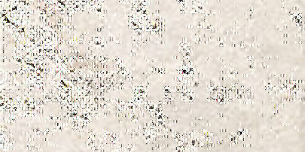 CIR Heritage Ivory 20x40 1080540