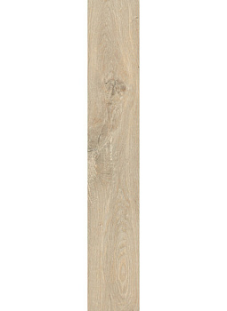 CAESAR Arthis Vapor Bat 6.2x60