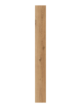 CAESAR Rever Wheat 20x180