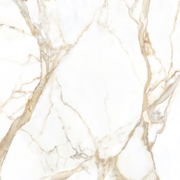 TAGINA Calacatta Gold Luc 80x80