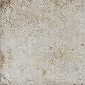 CIR Havana Sugar Cane 40x40