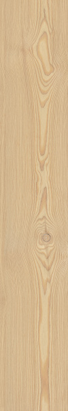 TAGINA Montalcino Larice Paglierino 20x120