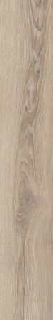 TAGINA Evoque Doussie Naturale Ret. 20x120