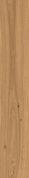 TAGINA Montalcino Rovere Miele 20x120