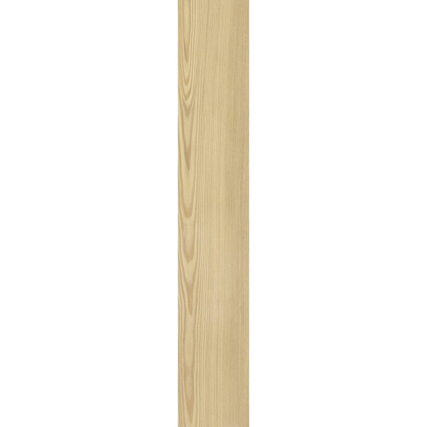 TAGINA Montalcino Batt Larice Paglierino 6.5x120