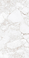 Progress ROSSALIA NATURAL керамогранит полированный 60х120 см AB 1171G