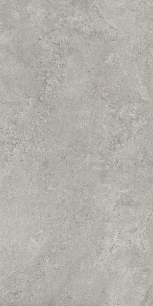 TAGINA Pierre D'avignon Gris 60x120