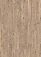 CAESAR Cocoon Ease 60x60