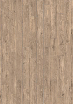 CAESAR Cocoon Ease 20x180