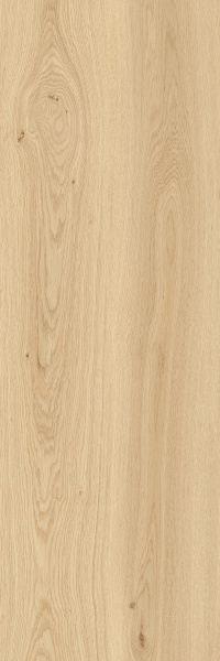 TAGINA Montalcino Rovere Paglierino 40x120