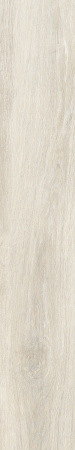 TAGINA Evoque Korina Naturale Ret. 20x120
