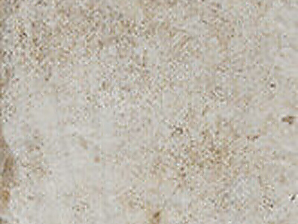CIR Havana Mos Spacco Hav Sugar 30x40