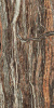 Atlas Concorde Epos Jurassic RETT 60x120 LAPP (610015000597) Керамогранит