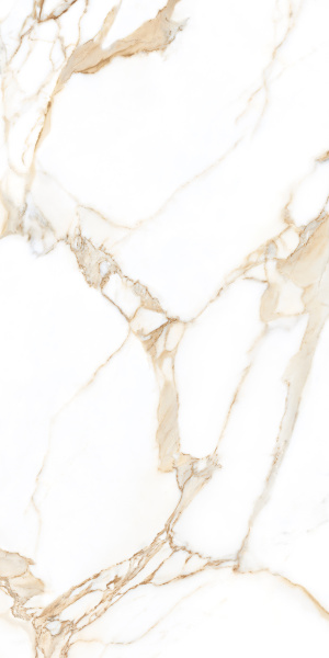 TAGINA Calacatta Gold Luc 60x120