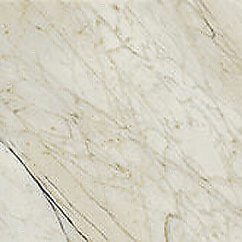 SERENISSIMA Palazzo Calacatta Dorato 120x120