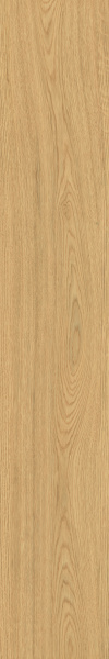 TAGINA Montalcino Quercia Dorato 20x120