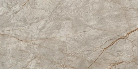 Atlas Concorde Empire Silver Root Rett Lapp 60x120
