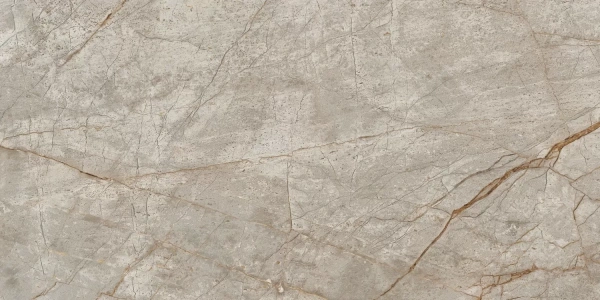 Atlas Concorde Empire Silver Root Rett Lapp 60x120