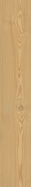 TAGINA Montalcino Larice Dorato 20x120