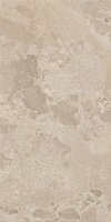 CAESAR Bloomstone Shell 60x120