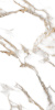 Progress ORO BIANCO керамогранит полированный 120x60 см  AB 1130G
