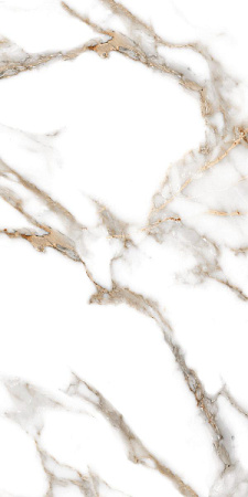 Progress ORO BIANCO керамогранит полированный 120x60 см  AB 1130G