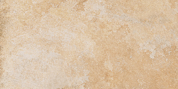 TAGINA Aurum Stone Pure 30.2x60.4 102015V