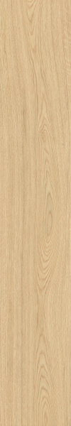 TAGINA Montalcino Quercia Paglierino 20x120