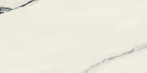 ATLAS CONCORDE Forte Dei Marmi Fdm Panda White Rett Cer 60x120