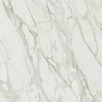 ENERGIEKER Calacatta Splendido Rett 120x120