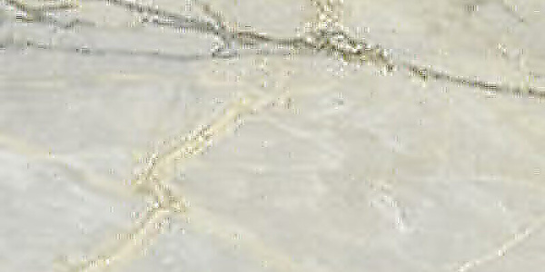 SERENISSIMA Palazzo Verde Orientale Silk 60x120