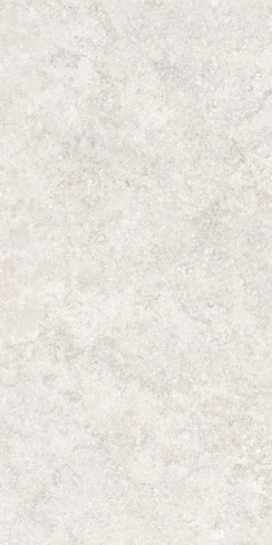 TAGINA Pierre D'avignon Blanc 20x40