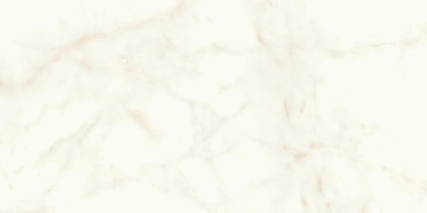 ATLAS CONCORDE MARVEL Calacatta Delicato 60x120 Lappato - Marvel Shine