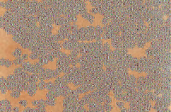 CIR Italica Terra Dolce 40x60.8 1086523